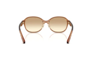 Vista posteriore Coach CBY85 (HC8445D - 565413)