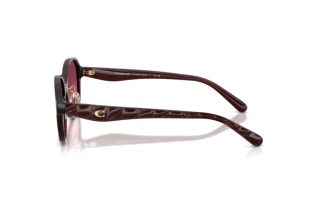 Vista laterale Coach CBY85 (HC8445D - 59158H)