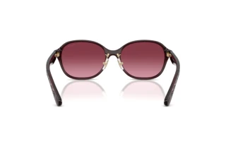 Vista posteriore Coach CBY85 (HC8445D - 59158H)