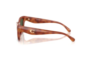 Vista laterale Coach CDP33 (HC8449U - 57749A)