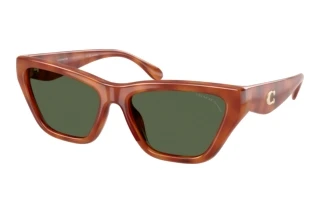 Vista frontale Coach CDP33 (HC8449U - 57749A)