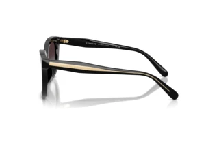 Vista laterale Coach CDP53 (HC8453U - 50028G)