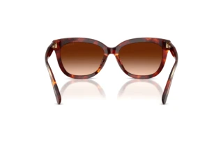 Vista posteriore Coach CDP53 (HC8453U - 593874)