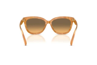 Vista posteriore Coach CDP53 (HC8453U - 593911)