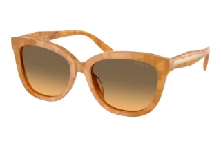 Vista frontale Coach CDP53 (HC8453U - 593911)