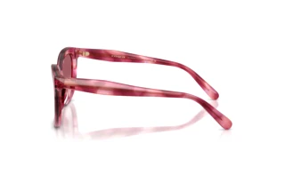 Vista laterale Coach CDP53 (HC8453U - 59417W)