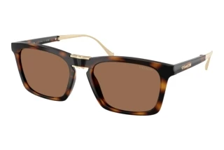 Vista frontale Coach CDP54 (HC8455 - 512013)