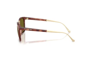 Vista laterale Coach CDP54 (HC8455 - 5774/2)