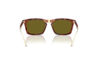 Vista posteriore Coach CDP54 (HC8455 - 5774/2)