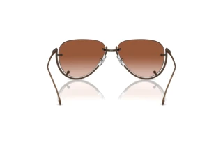 Vista posteriore Diesel DL1003 (105/13)