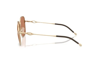 Vista laterale Diesel DL1010D (101173)