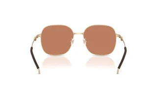 Vista posteriore Diesel DL1010D (101173)