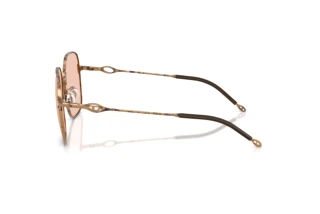 Vista laterale Diesel DL1010D (103084)