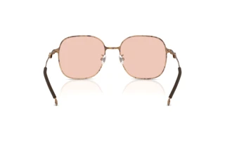 Vista posteriore Diesel DL1010D (103084)