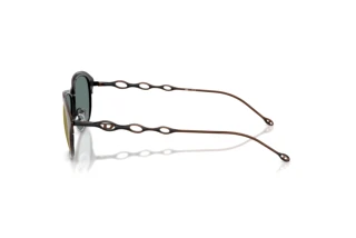 Vista laterale Diesel DL1011 (10254Z)