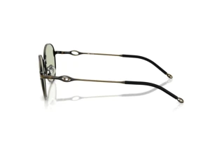 Vista laterale Diesel DL1012D (1029/2)