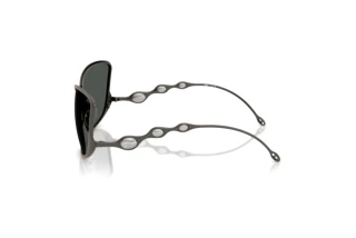 Vista laterale Diesel DL1013 (100987)