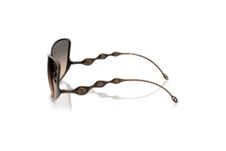 Vista laterale Diesel DL1013 (1023I9)