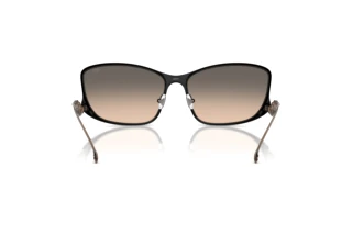 Vista posteriore Diesel DL1013 (1023I9)