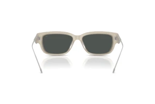 Vista posteriore Diesel DL2002MU (201987)