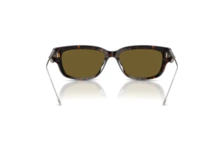 Vista posteriore Diesel DL2002MU (713/73)