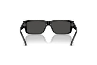 Vista posteriore Diesel DL2003 (701/87)