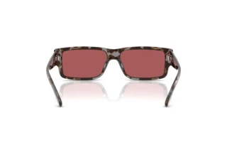 Vista posteriore Diesel DL2003 (723/B5)