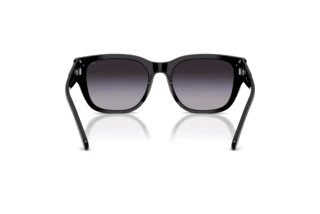 Vista posteriore Diesel DL2005 (20018G)