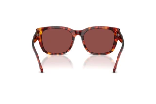 Vista posteriore Diesel DL2005 (202375)