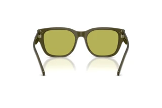 Vista posteriore Diesel DL2005 (2024/2)