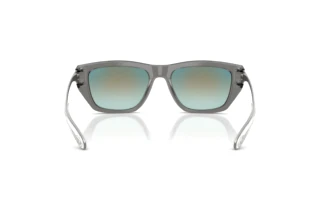 Vista posteriore Diesel DL2006 (2027B6)