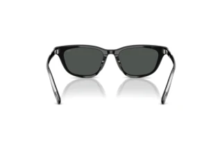 Vista posteriore Diesel DL2012U (200187)