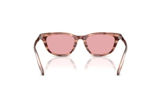 Vista posteriore Diesel DL2012U (203684)