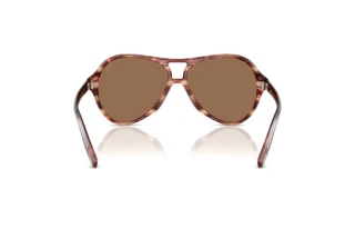 Vista posteriore Diesel DL2013U (203673)