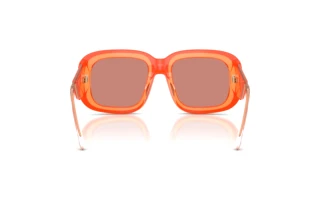 Vista posteriore Diesel DL2015U (20477J)