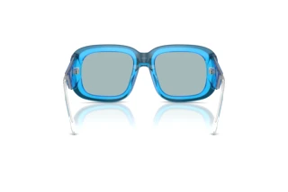 Vista posteriore Diesel DL2015U (20487C)