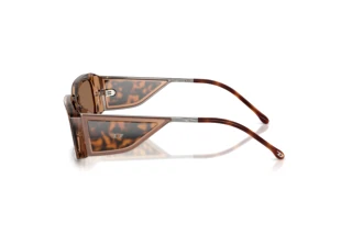 Vista laterale Diesel DL2017U (205073)