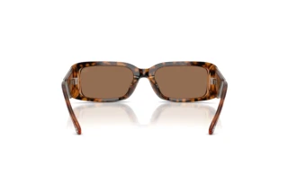 Vista posteriore Diesel DL2017U (205073)