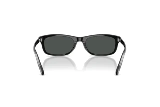 Vista posteriore Diesel DL2018U (200187)