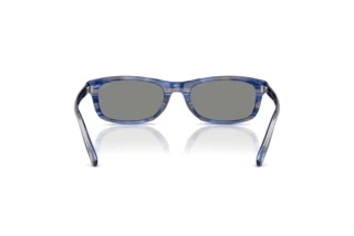 Vista posteriore Diesel DL2018U (203787)