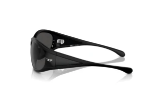 Vista laterale Diesel DL3002 (501S87)