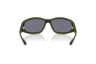 Vista posteriore Diesel DL3002 (511/J2)