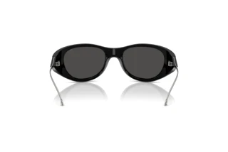 Vista posteriore Diesel DL3003 (501/87)