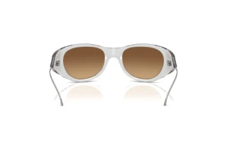 Vista posteriore Diesel DL3003 (507/B8)