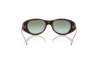 Vista posteriore Diesel DL3003 (508/B6)