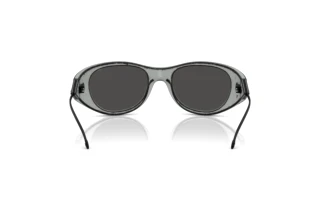 Vista posteriore Diesel DL3003 (509/87)