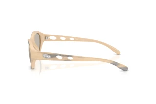 Vista laterale Diesel DL3005U (2008/3)