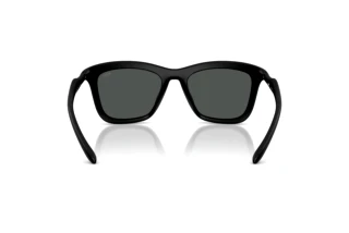 Vista posteriore Diesel DL3008U (200287)