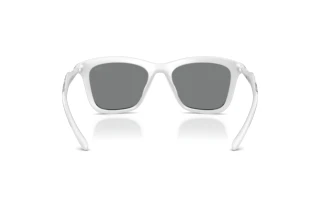 Vista posteriore Diesel DL3008U (202987)