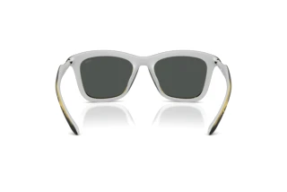 Vista posteriore Diesel DL3008U (203087)